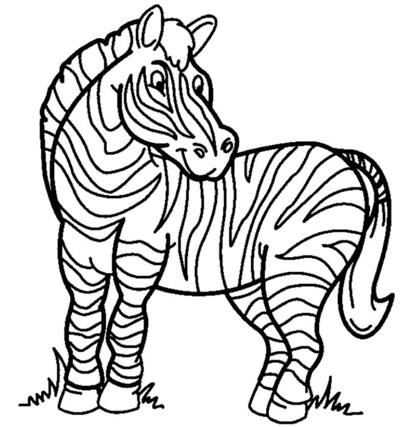 787x836 Zebra Coloring