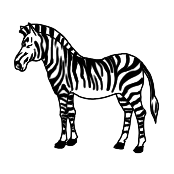 600x600 How To Draw Realistic Animals Step