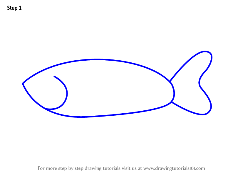 844x598 Learn How To Draw A Zebra Dania Fish For Kids