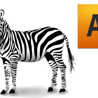 336x336 Zebra Drawing Face Easy Step Pen Art I Fertility