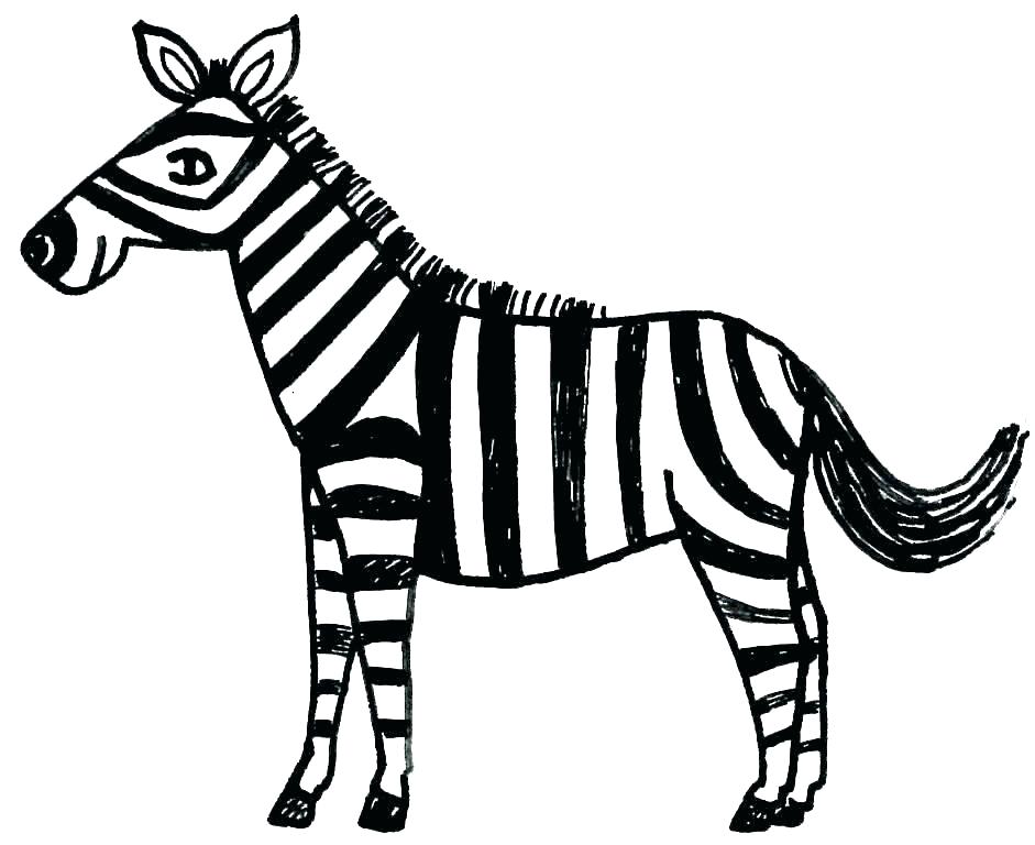 941x768 Zebra For Coloring Z Is For Zebra Coloring