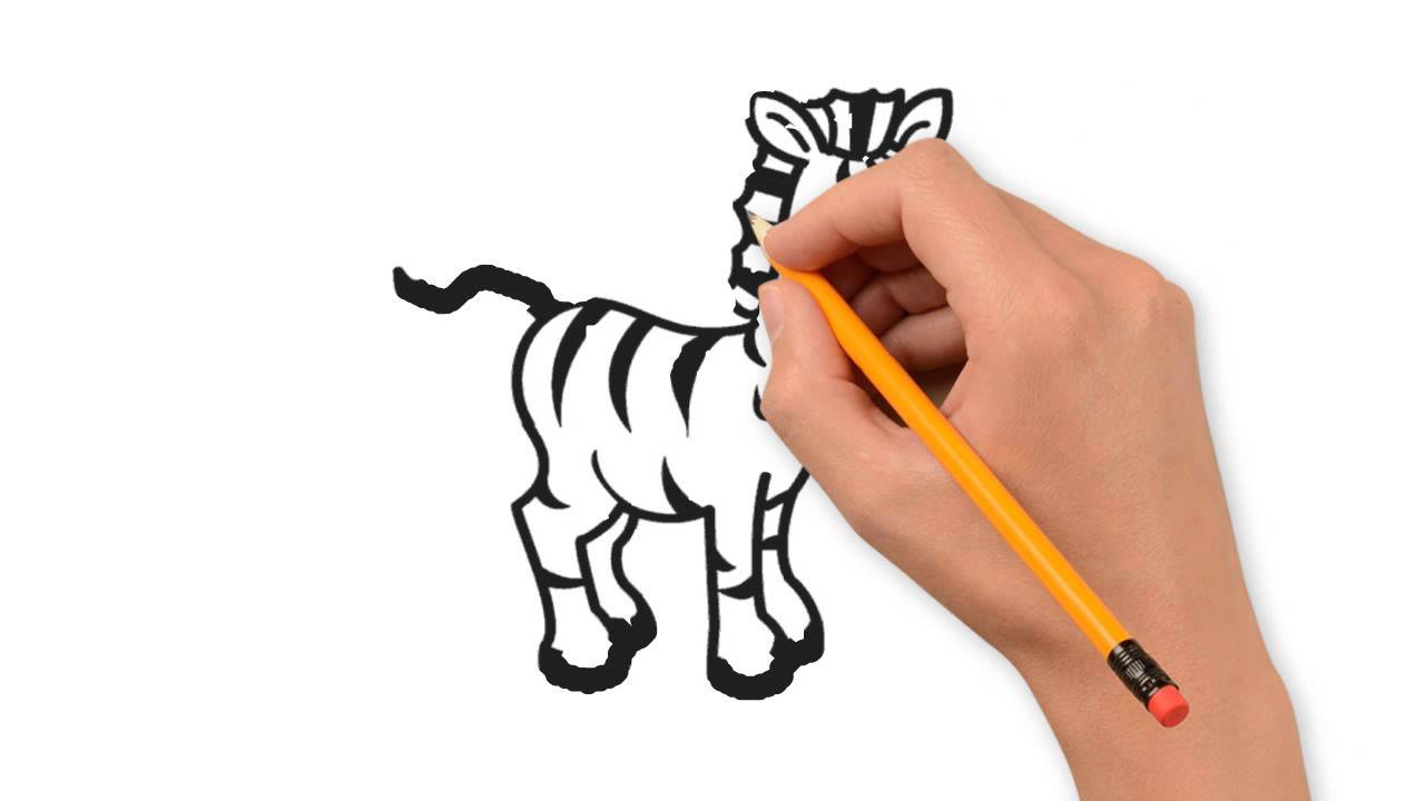1280x720 Zebra Animals Pencil To Draw Step