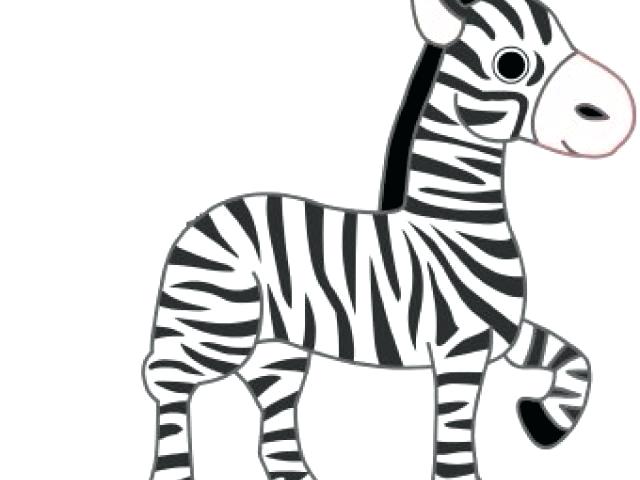 640x480 Simple Zebra Drawing Running