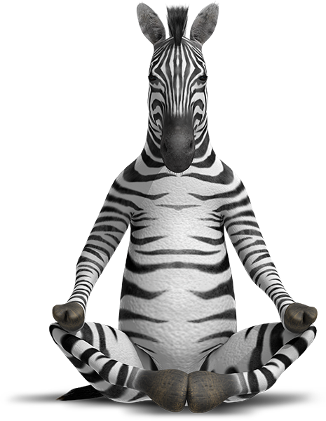 465x600 Collection Of Free Zebra Drawing Front Face Download On Ui Ex