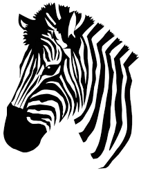 204x247 Pre Dopyt Draw A Zebra