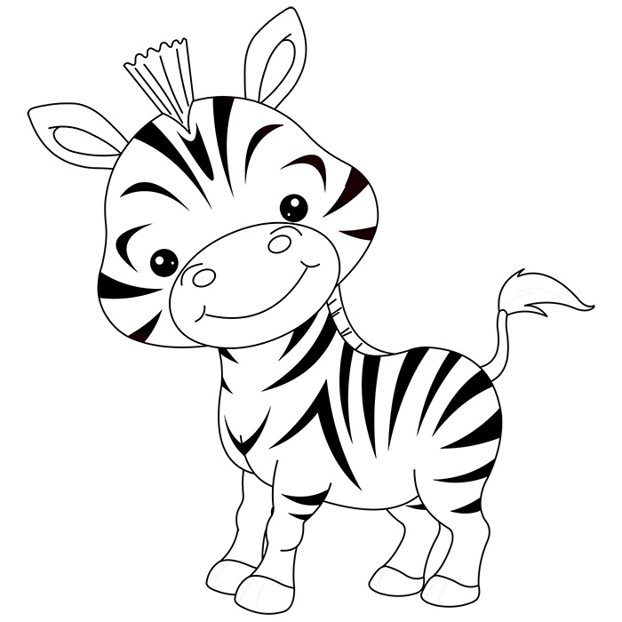 700x700 Zebra