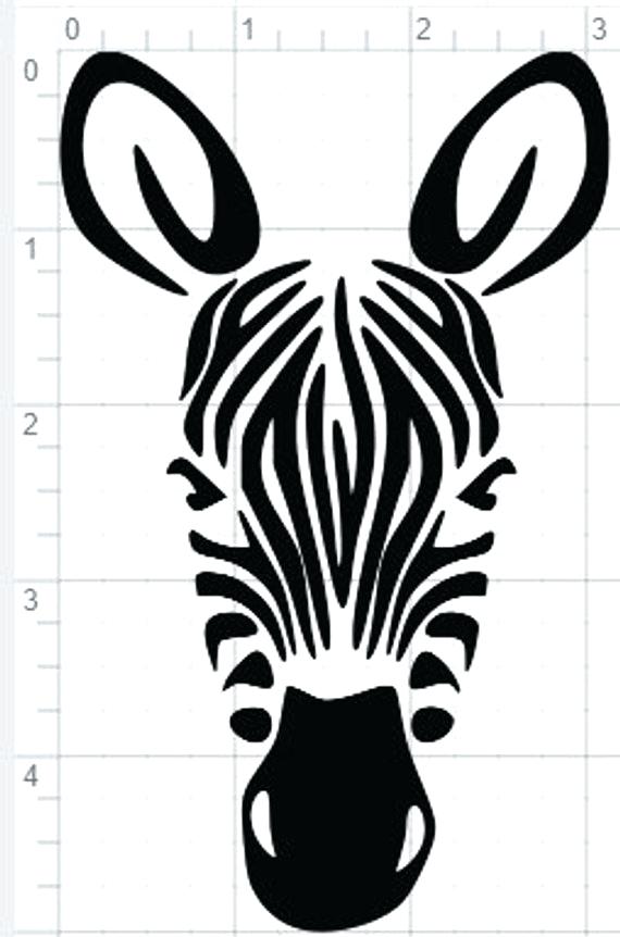 570x862 Zebra Face Zebra Face Drawing Easy