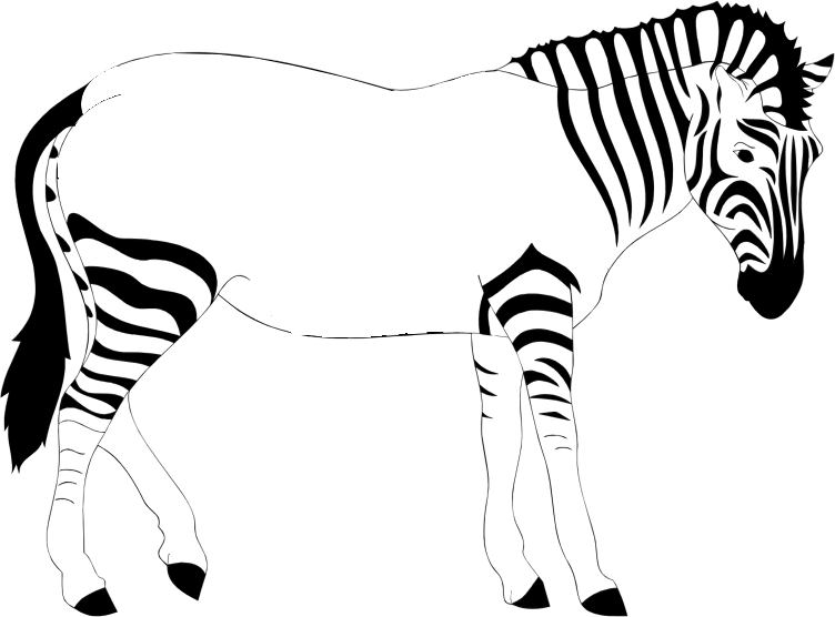 752x556 Collection Of Free Zebra Drawing Beach Download On Ui Ex
