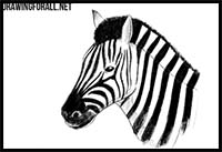 200x137 How To Draw Cartoon Zebras Realistic Zebras Drawing Tutorials