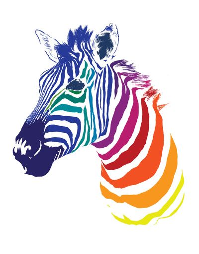 400x509 Rainbow Zebra