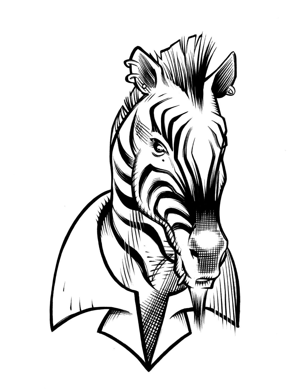 1200x1619 Zebra Head Drawing