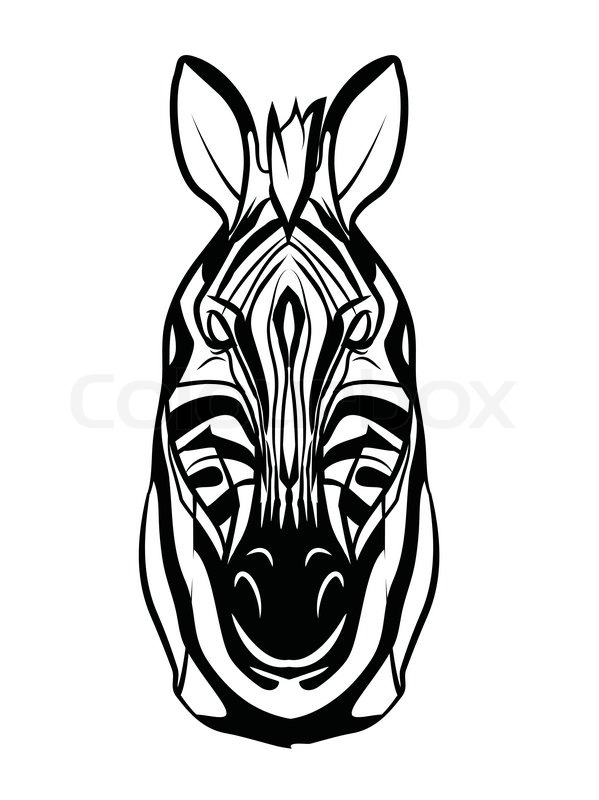 599x800 Zebra Head Stock Vector Colourbox