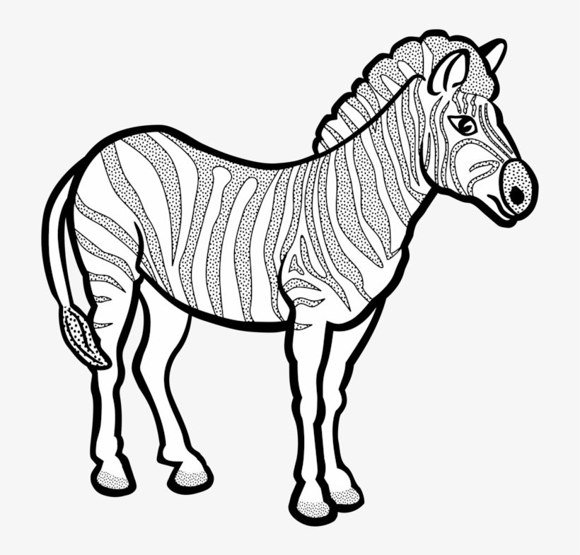 820x785 Line Art Zebra Black And White