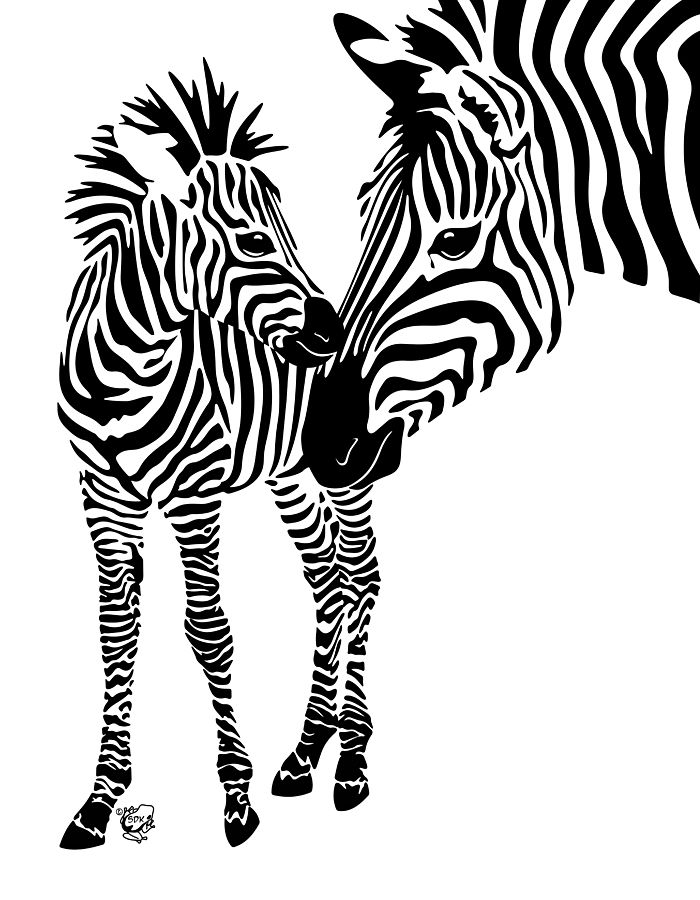 Zebra Line Drawing Free Download On Clipartmag