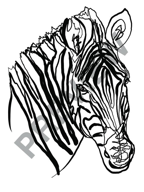 570x760 Single Line Zebra Contour Drawing Digital Download Only Etsy