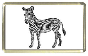 300x192 Zebra Fridge Magnet