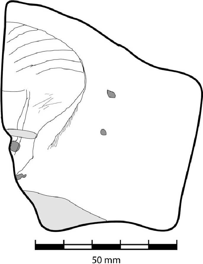 686x891 A Line Drawing Of The Zebra Engraving On The Dolomite Slab