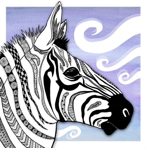 567x569 Patterned Zebra Illustration