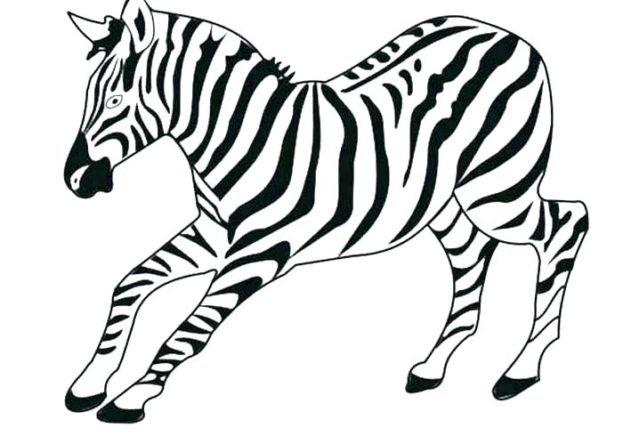 700x499 Printable Animal Coloring Pages Zebra Print Kids Color Craft
