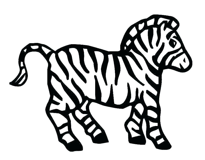 810x630 Printable Zebra Print How To Draw Zebra Stripes Steps