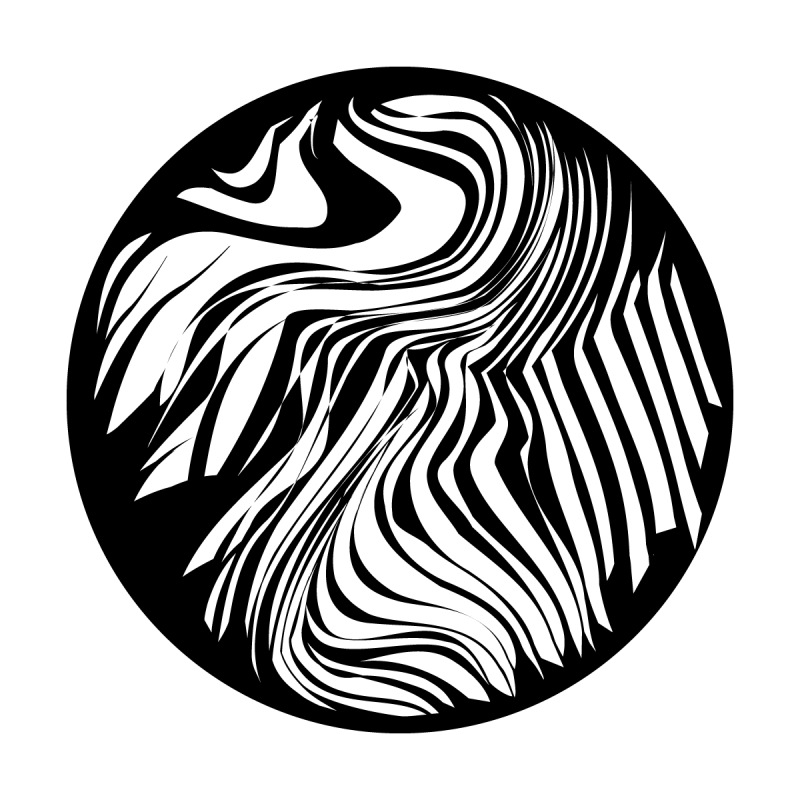 800x800 Wild Zebra Print