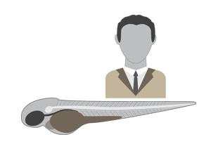 300x215 Noldus Zebrafish