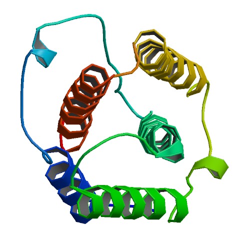 500x500 Rcsb Pdb