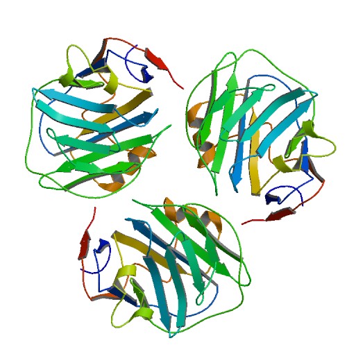 500x500 Rcsb Pdb