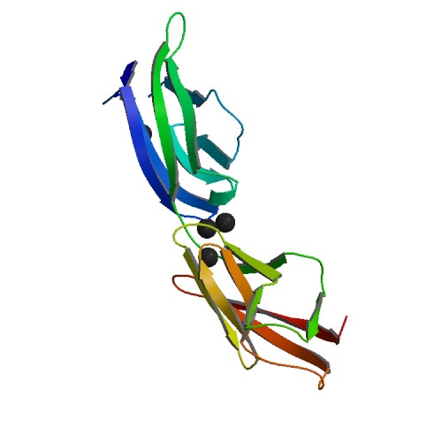 500x500 Rcsb Pdb