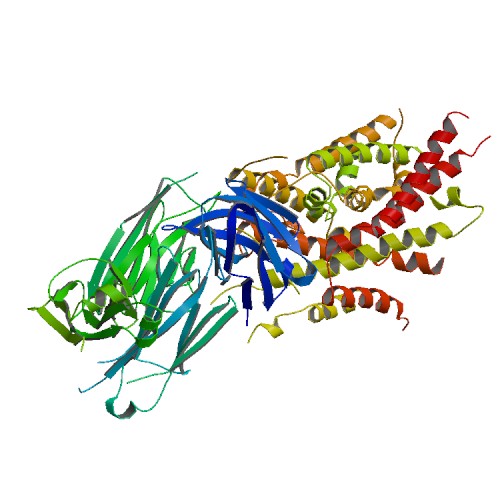 500x500 Rcsb Pdb