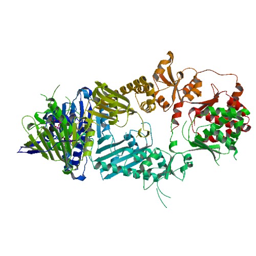 500x500 Rcsb Pdb