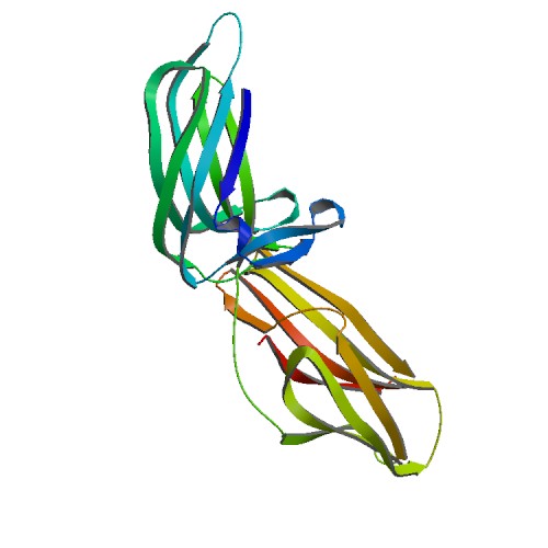 500x500 Rcsb Pdb