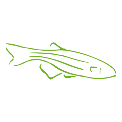 480x480 Species Spaces Animal Research Nexus