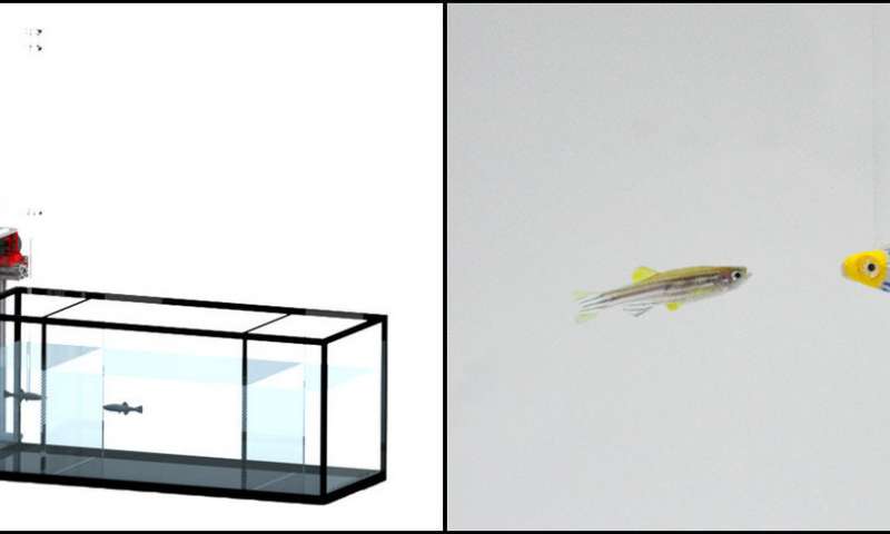 800x480 The Robots Will See You Now