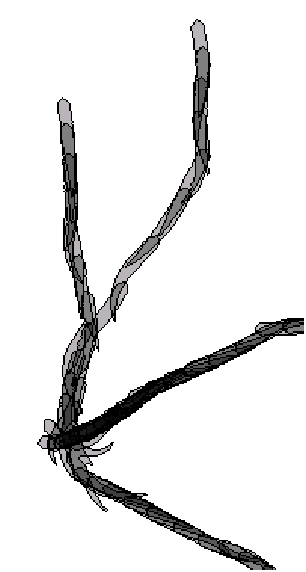 306x572 Tracking Thesisfigures Lab Book For Zebrafish Experiments