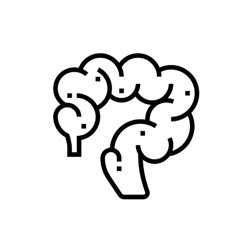 517x517 Zebrafish Services