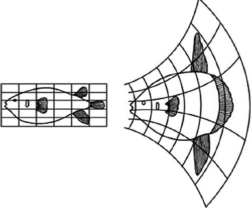 500x415 dspp summary