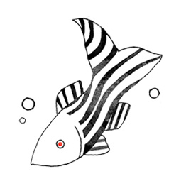 262x262 hui feng studies zebrafish to understand breast cancer bu today