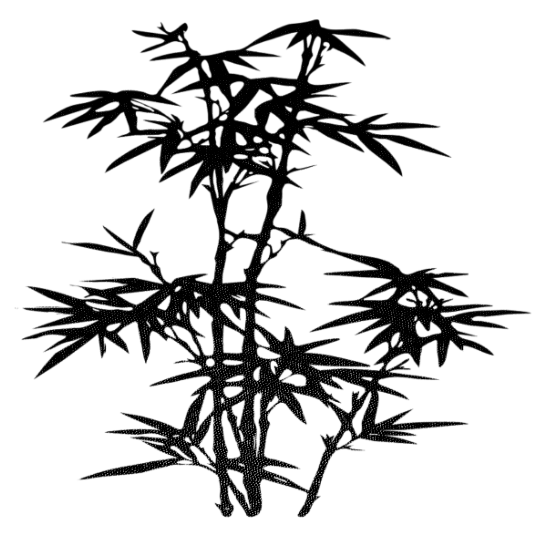 1875x1875 Collection Of Free Bamboo Drawing Sumie Download On Ui Ex