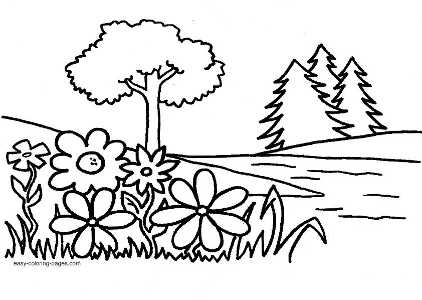 842x598 Outline Drawing Garden For Free Download