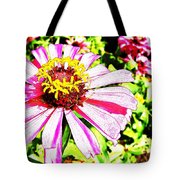 180x180 drawing zinnia flower painting large, brightly photograph