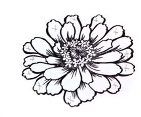 473x393 image result for zinnia flower drawing drawing zinnias
