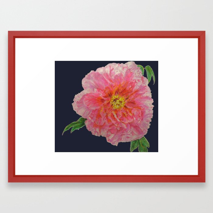 700x700 Pink Peony Flower Drawing On Blue Background Framed Art Print