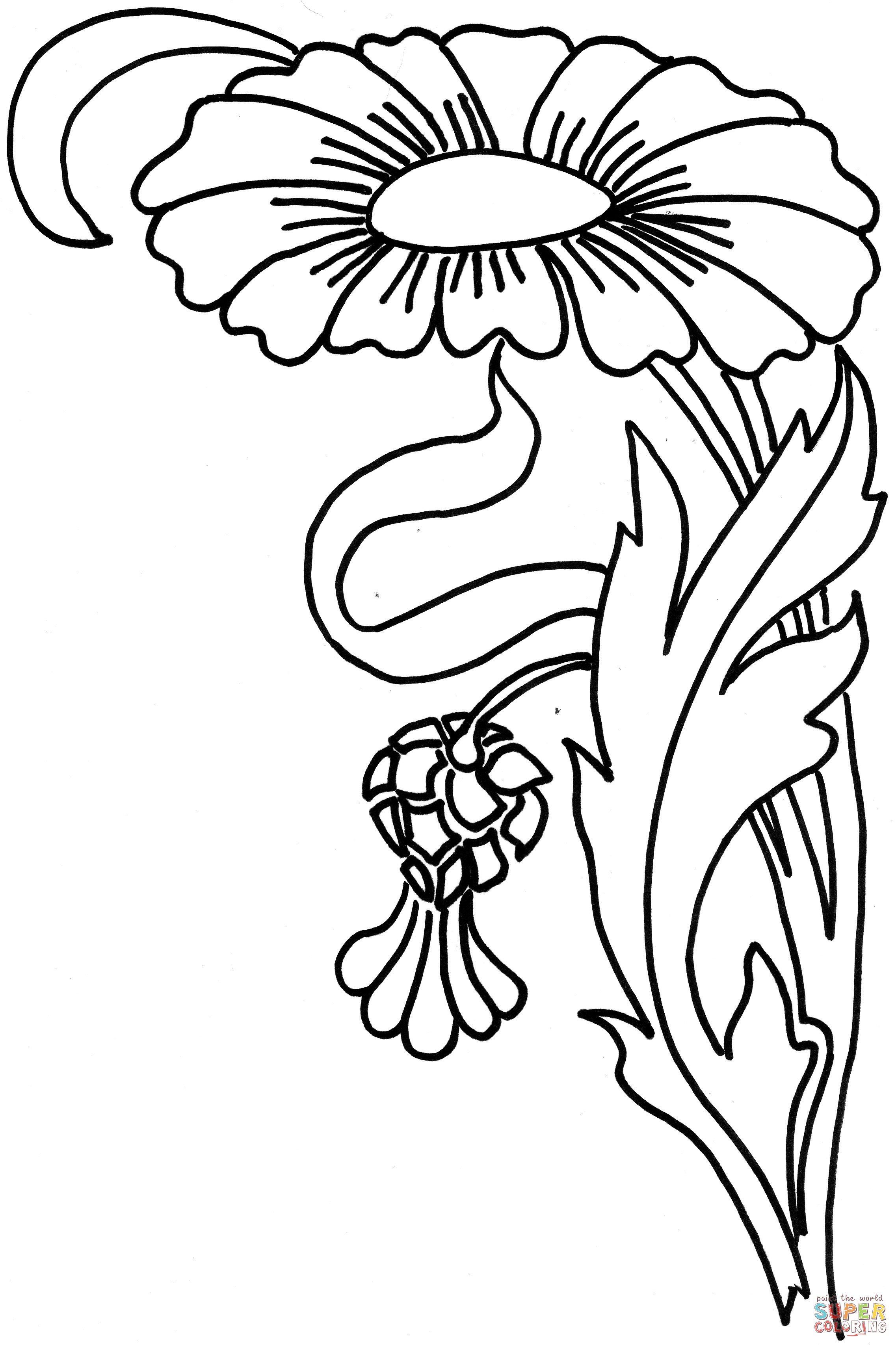 2274x3414 zinnia drawing black and white for free download