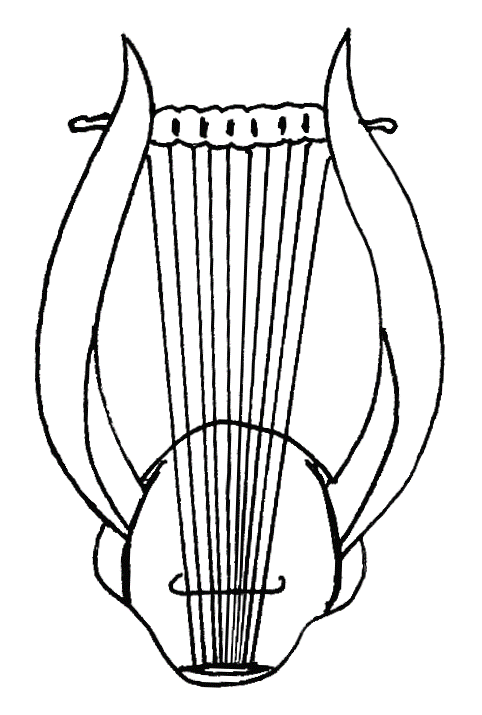 482x715 Harp Drawing Hebrew For Free Download