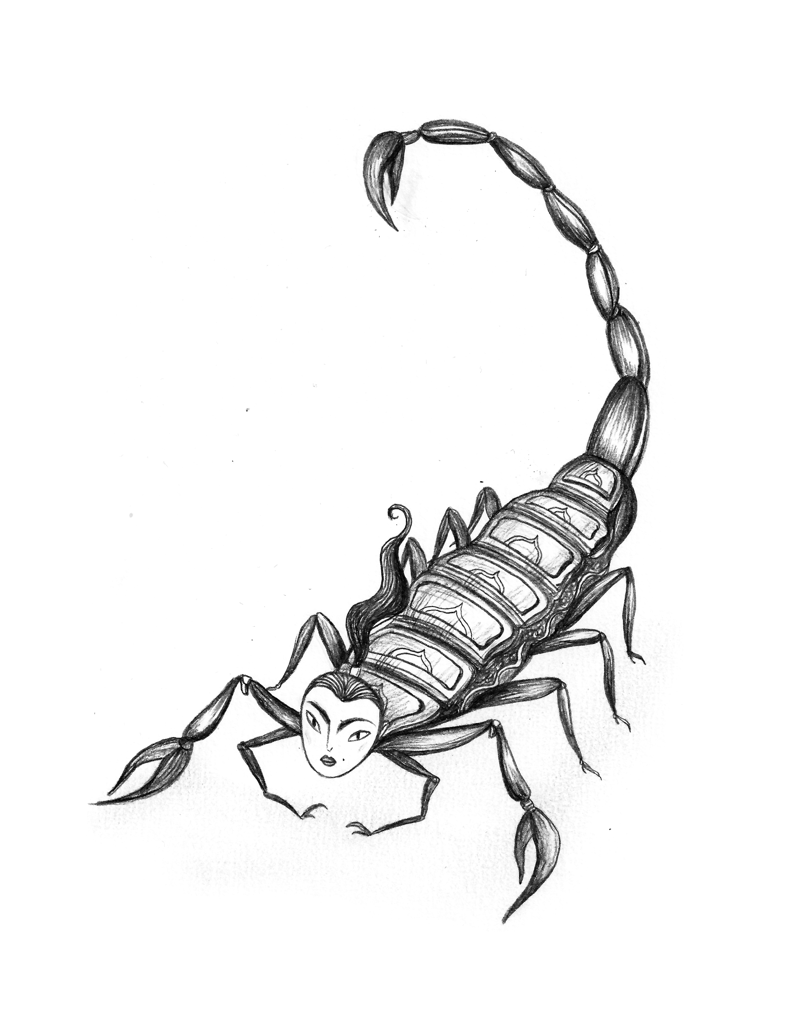 1600x2077 Zodiac Signs