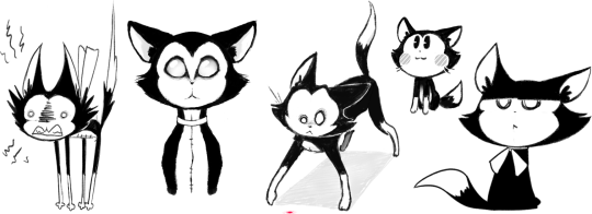 540x196 Venus The Zombie Cat Tumblr