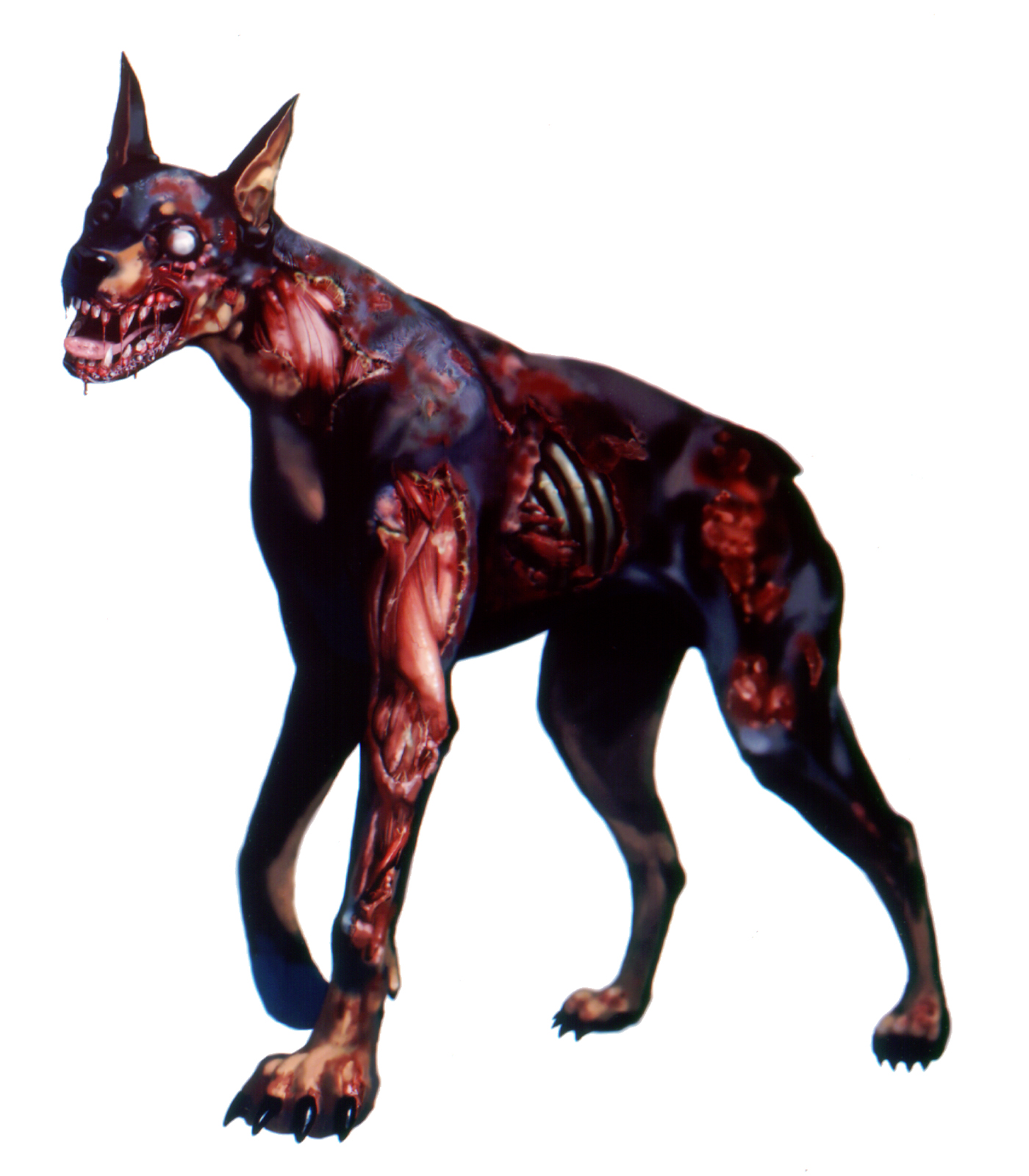 1400x1600 Zombie Dog Resident Evil Wiki Fandom Powered