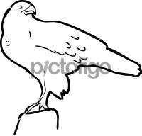 200x192 Birds Freehand Icon