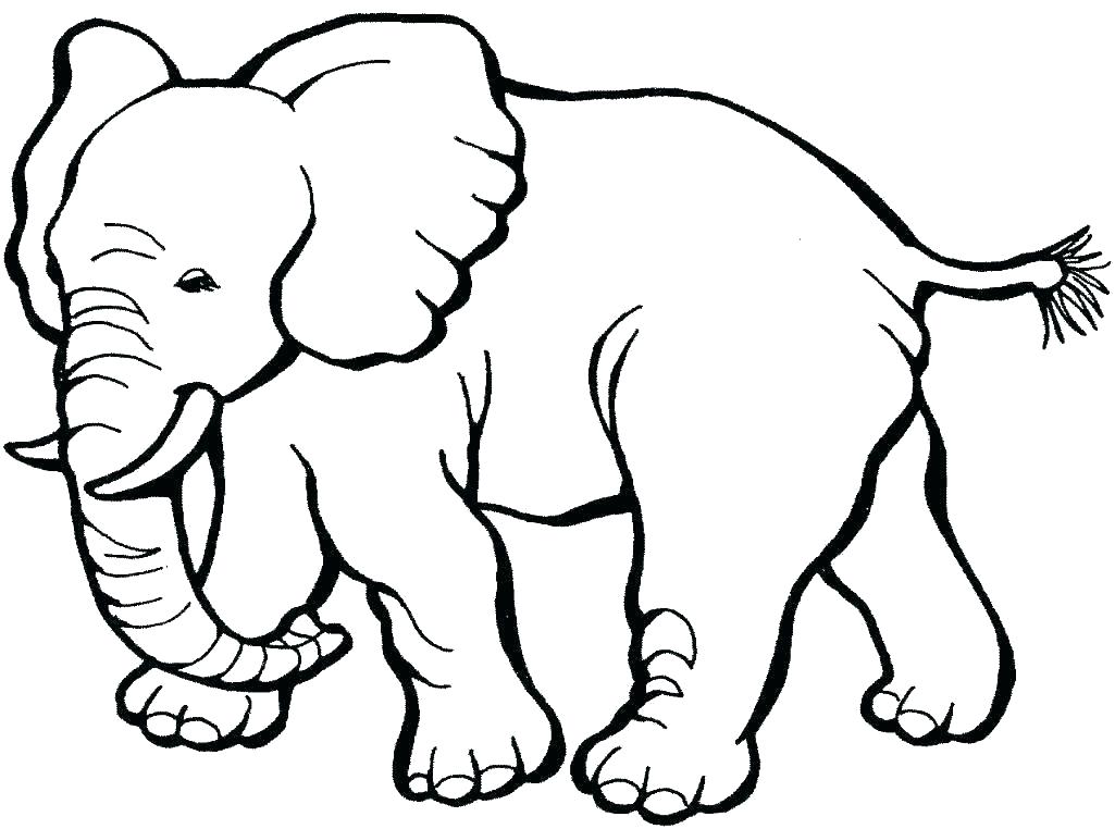 1025x762 Pictures Of Zoo Animals To Print Zoo Animals Coloring